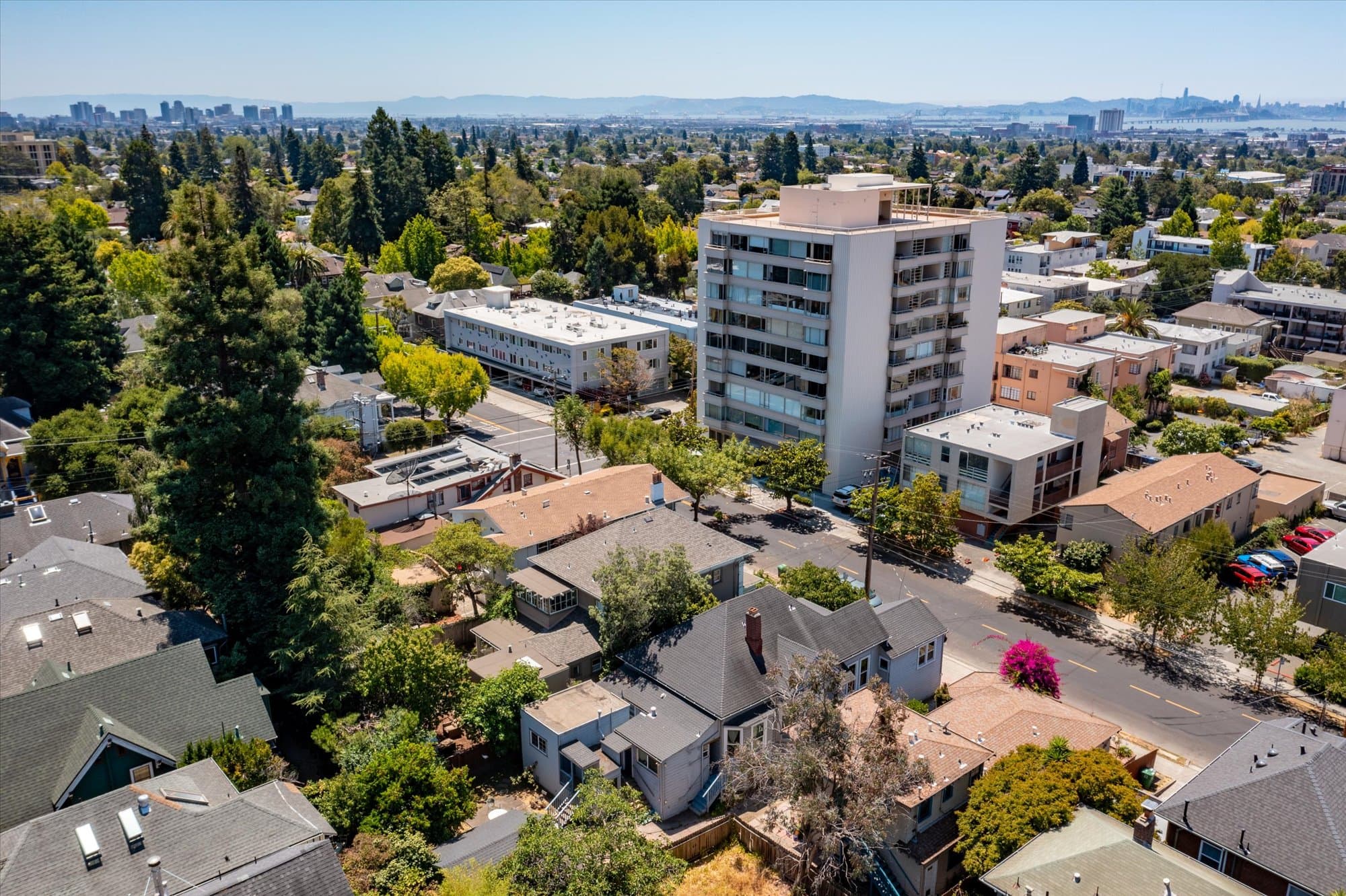 2531 Dana Street - 1 - e4d4d6cb5d78457a88209abeb966f683.jpg