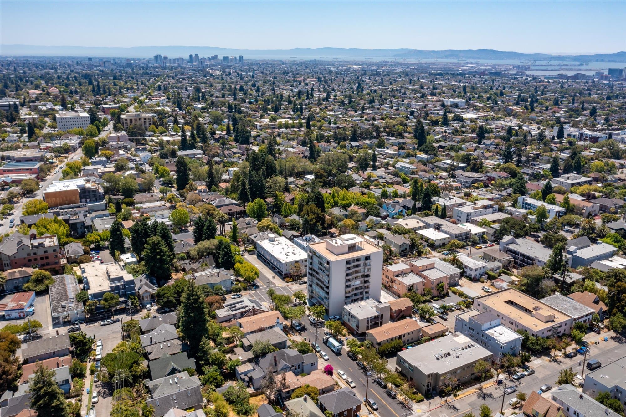 2531 Dana Street - 1 - ef086a488f284c09ba3c67a251ad7eb8.jpg