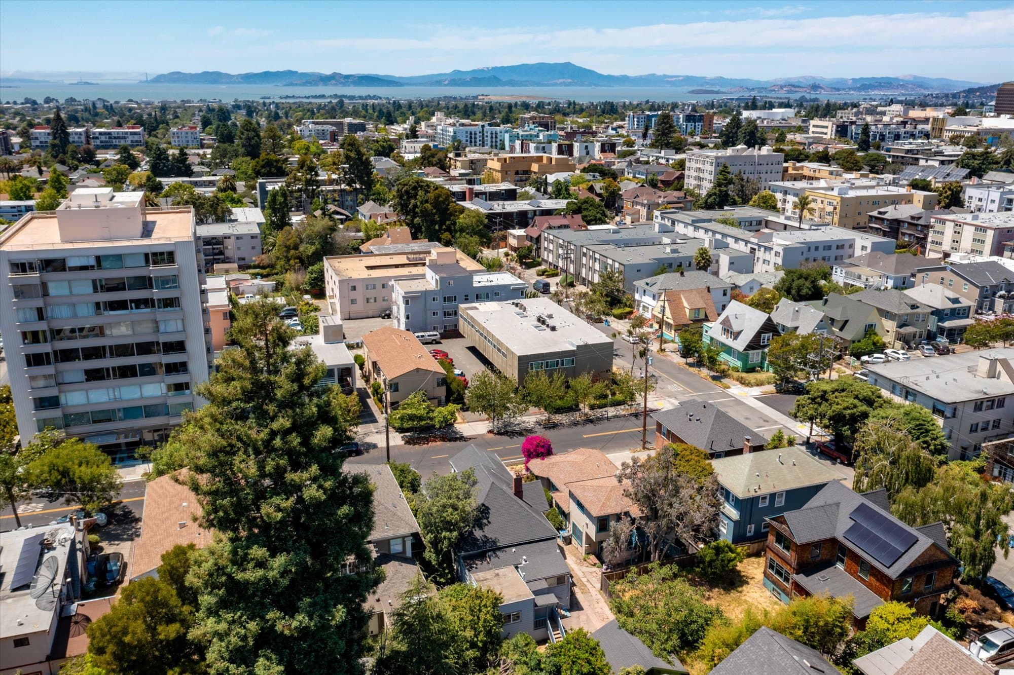 2531 Dana Street - 3 - 0c81b63b6f9d4fb5a4cd0f58747f91c8.jpg